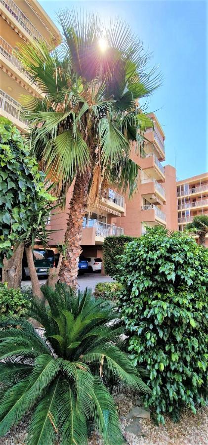 Los Ranchos, B-1º Benidorm Ngoại thất bức ảnh